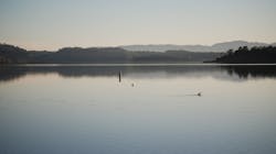 Lake Mendocino Lake Mendocino