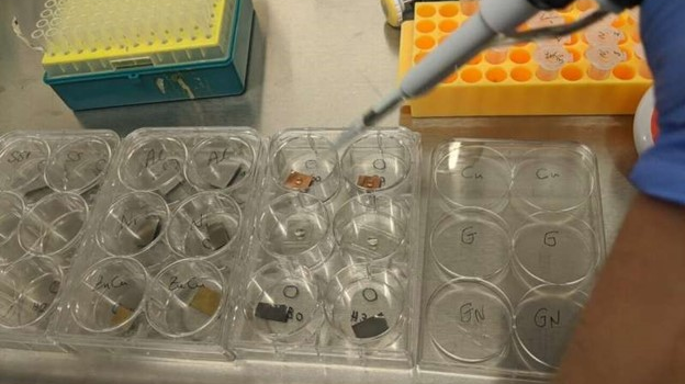 Placing drops of virus suspension on sterile surfaces prior to ozone exposure.