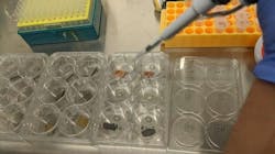 Placing drops of virus suspension on sterile surfaces prior to ozone exposure. Placing drops of virus suspension on sterile surfaces prior to ozone exposure.