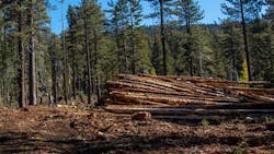Yuba Water commits $6.5M to combat wildfire risk Yuba Water commits $6.5M to combat wildfire risk