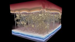This 3D model of a polymer desalination membrane shows water -- the silver channels, moving from top to bottom -- avoiding dense spots in the membrane and slowing flow.