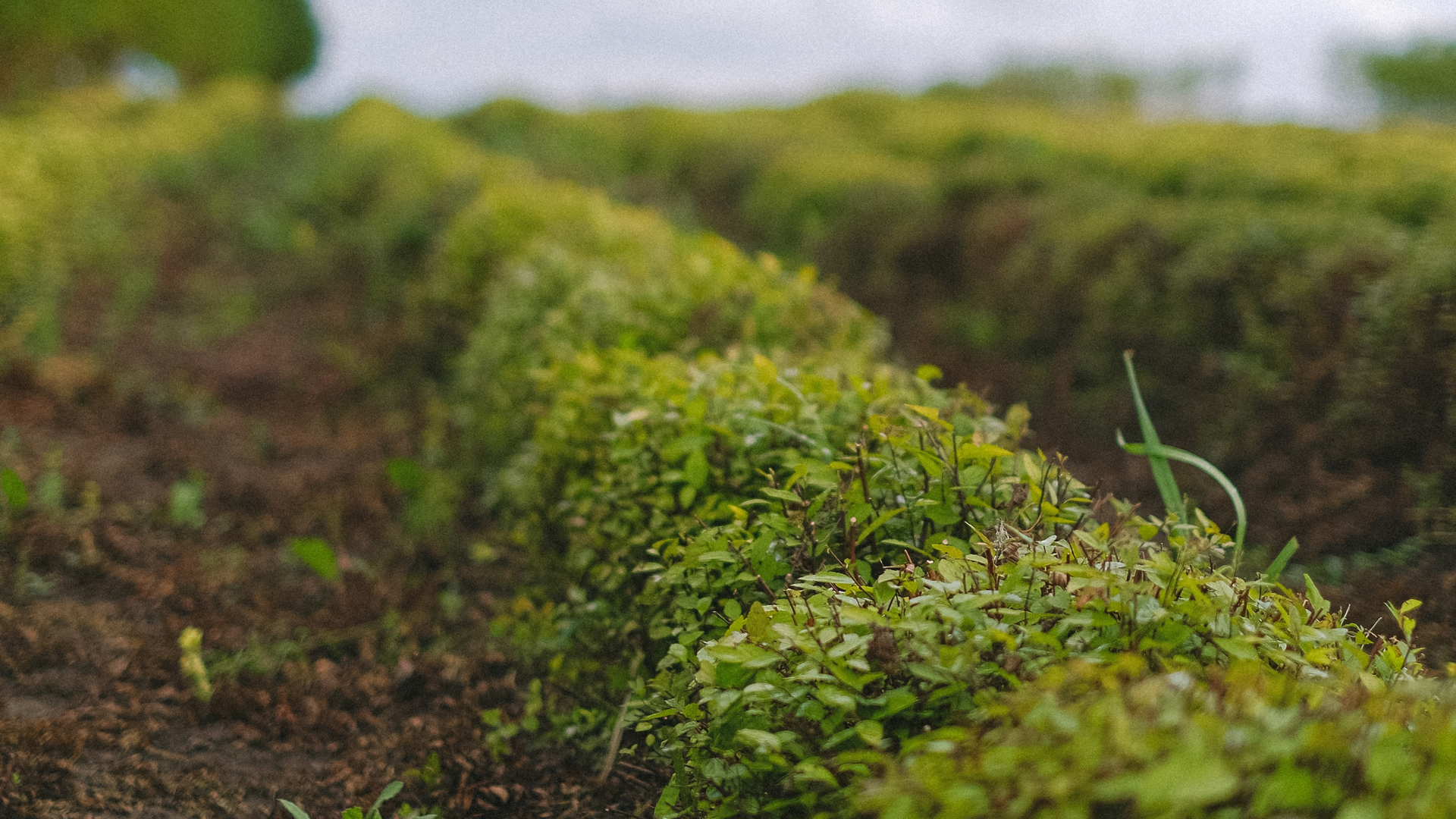 Pexels Anna Shvets 5231012 6021851d6f6e0