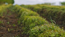 Pexels Anna Shvets 5231012 6021851d6f6e0 Pexels Anna Shvets 5231012 6021851d6f6e0