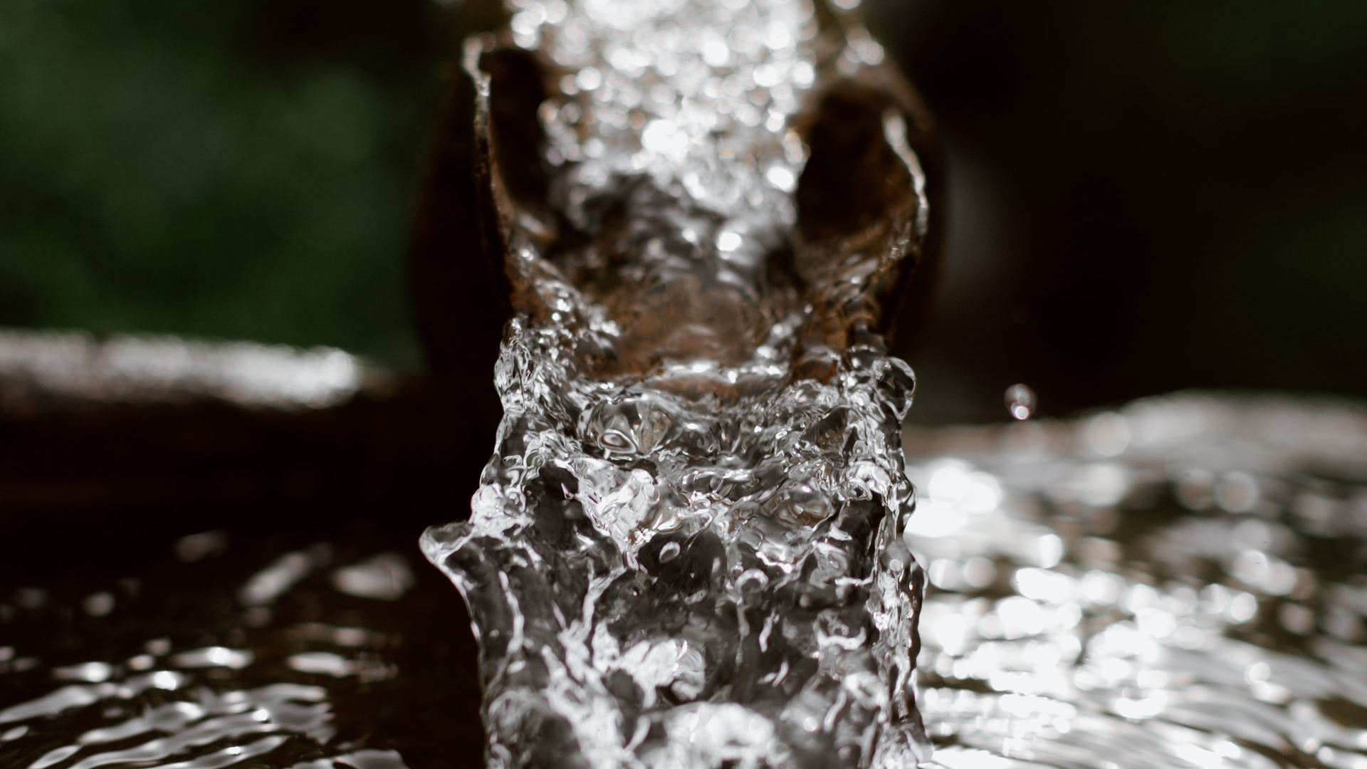 Pexels Eberhard Grossgasteiger 4406602 1 601abf8e7ca74