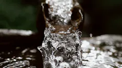 Pexels Eberhard Grossgasteiger 4406602 (1)