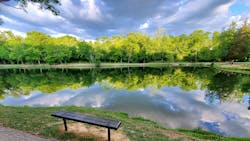 Pexels Neville Buchanan 5273885 602ff1c63c3b9 Pexels Neville Buchanan 5273885 602ff1c63c3b9