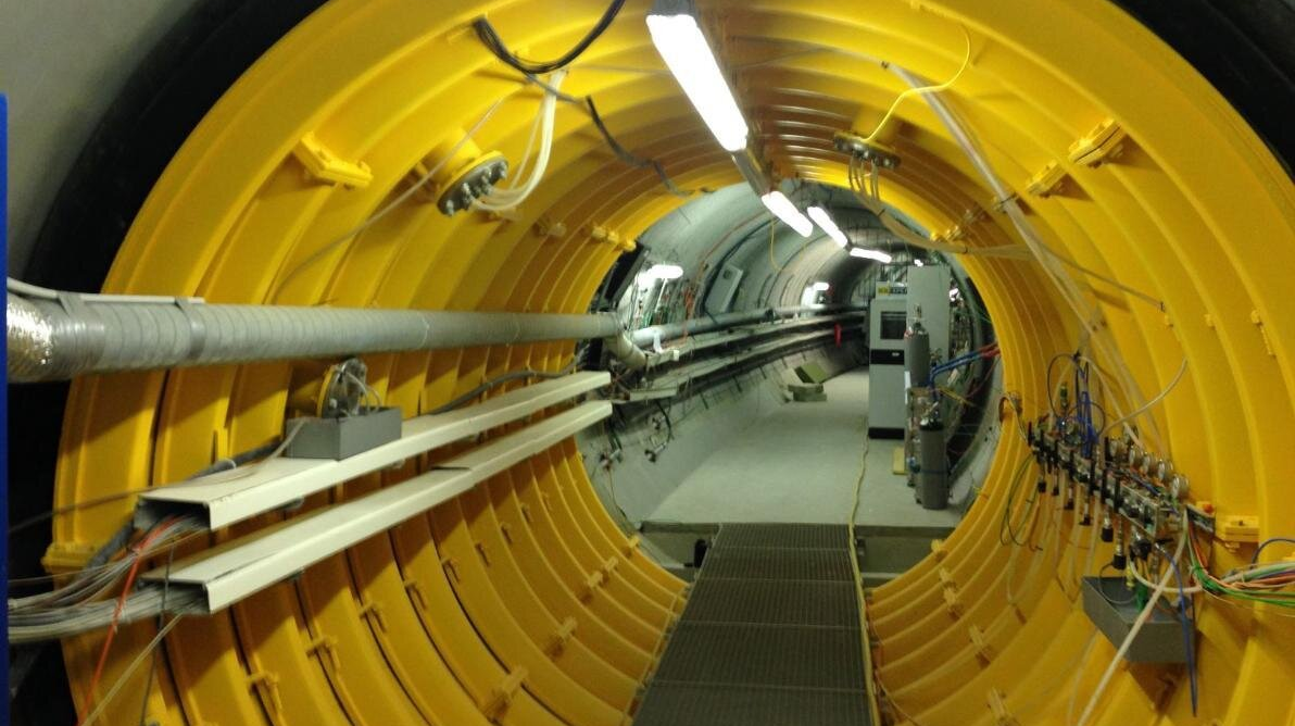 Tinymicroear 6021865d0a5df