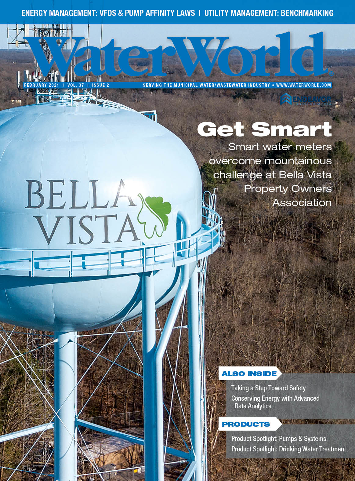 Volume 37, Issue 2, February 2021 cover image