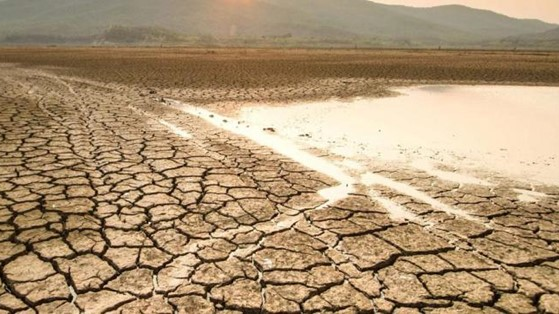 Local water scarcity can have global economic effects.