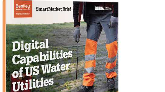 Digital Water Cover 1