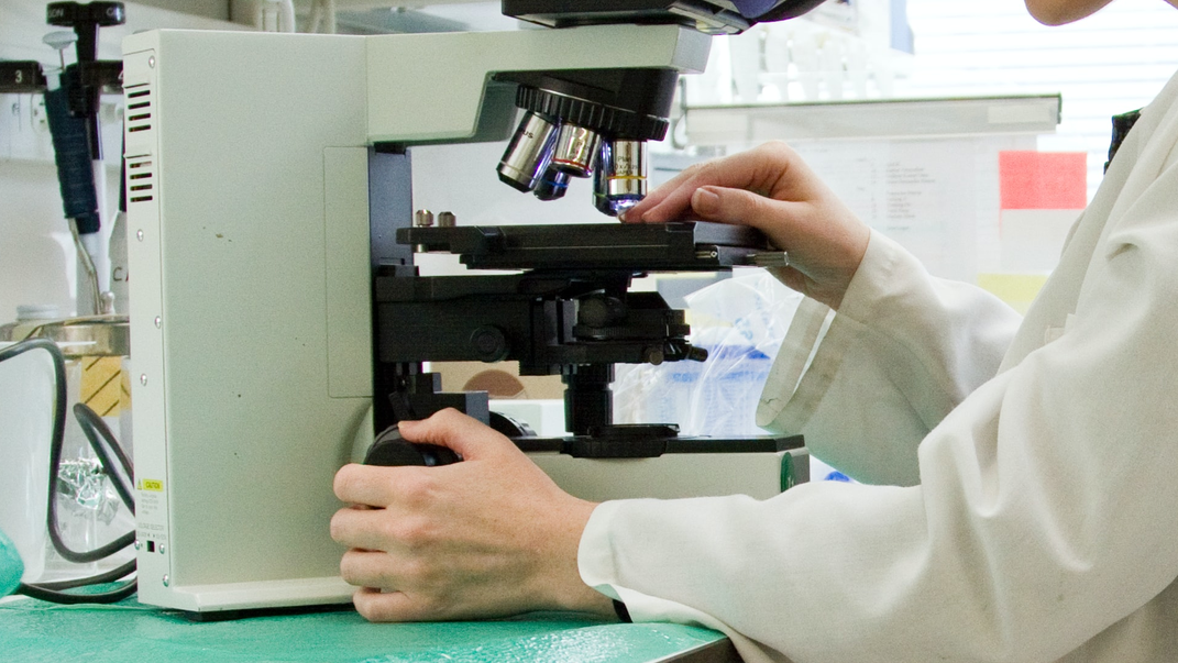 Photo by National Cancer Institute on Unsplash