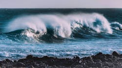 Pexels Allan Watson 2374666 6040f58842522 Pexels Allan Watson 2374666 6040f58842522