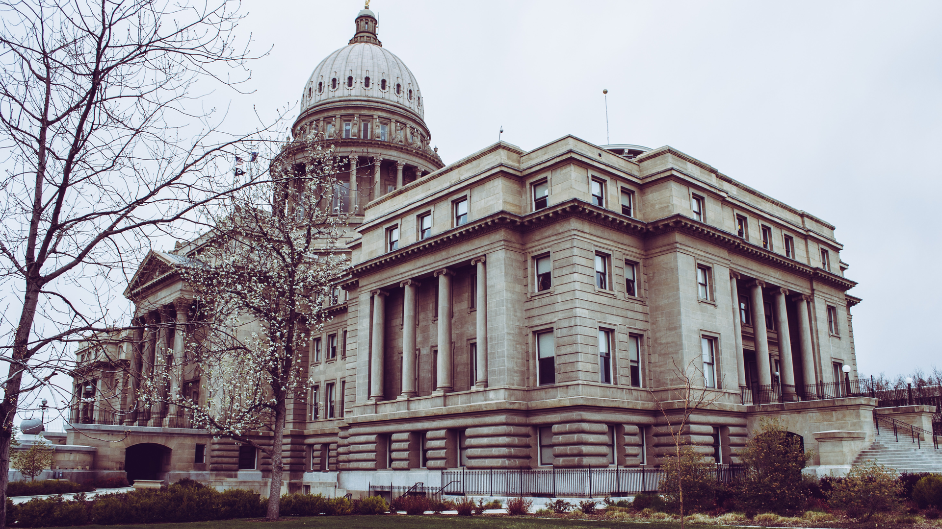 Pexels Brett Sayles 1000738 60492d6e3435c