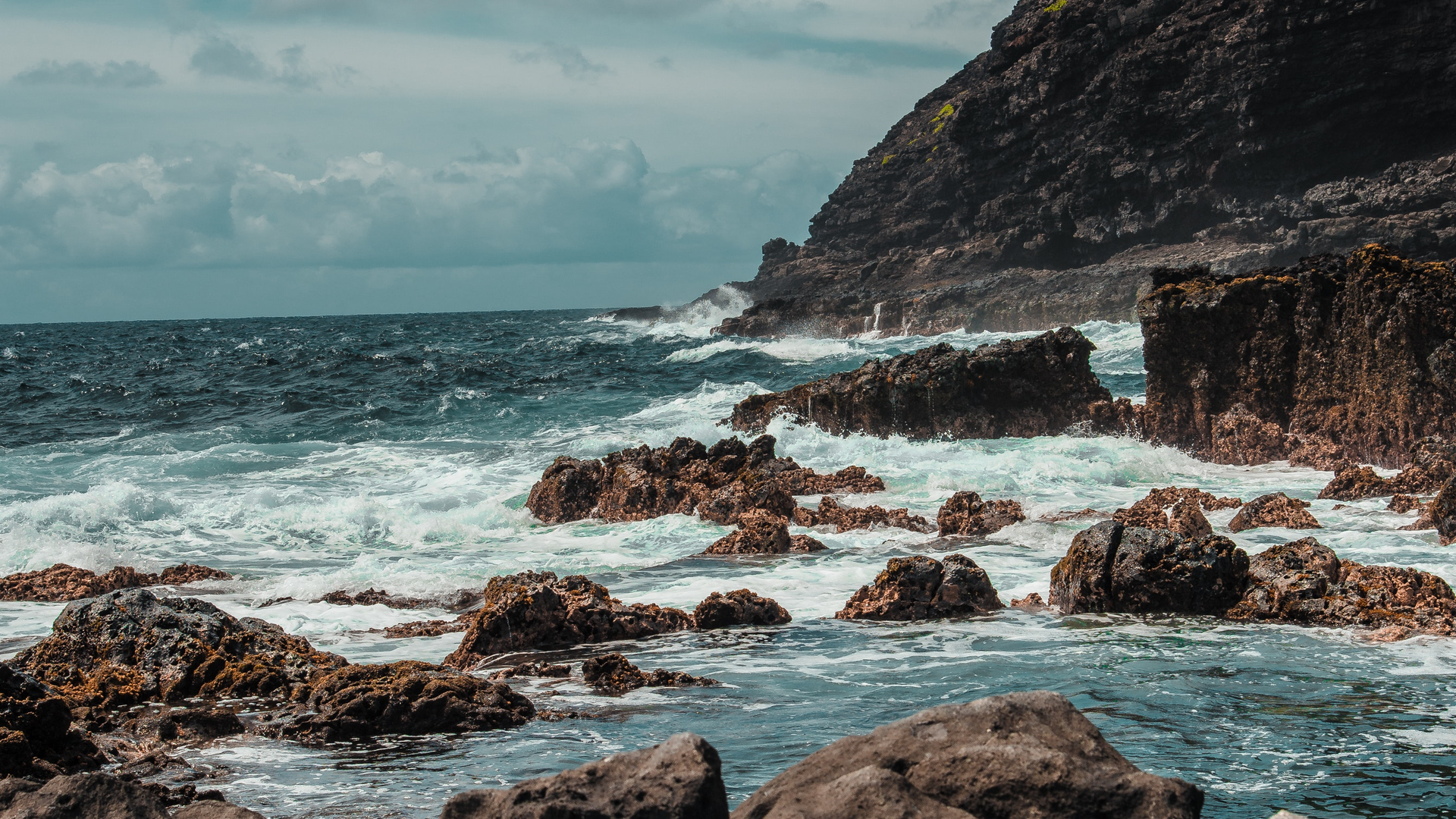 Pexels Cristian Benavides 2932494