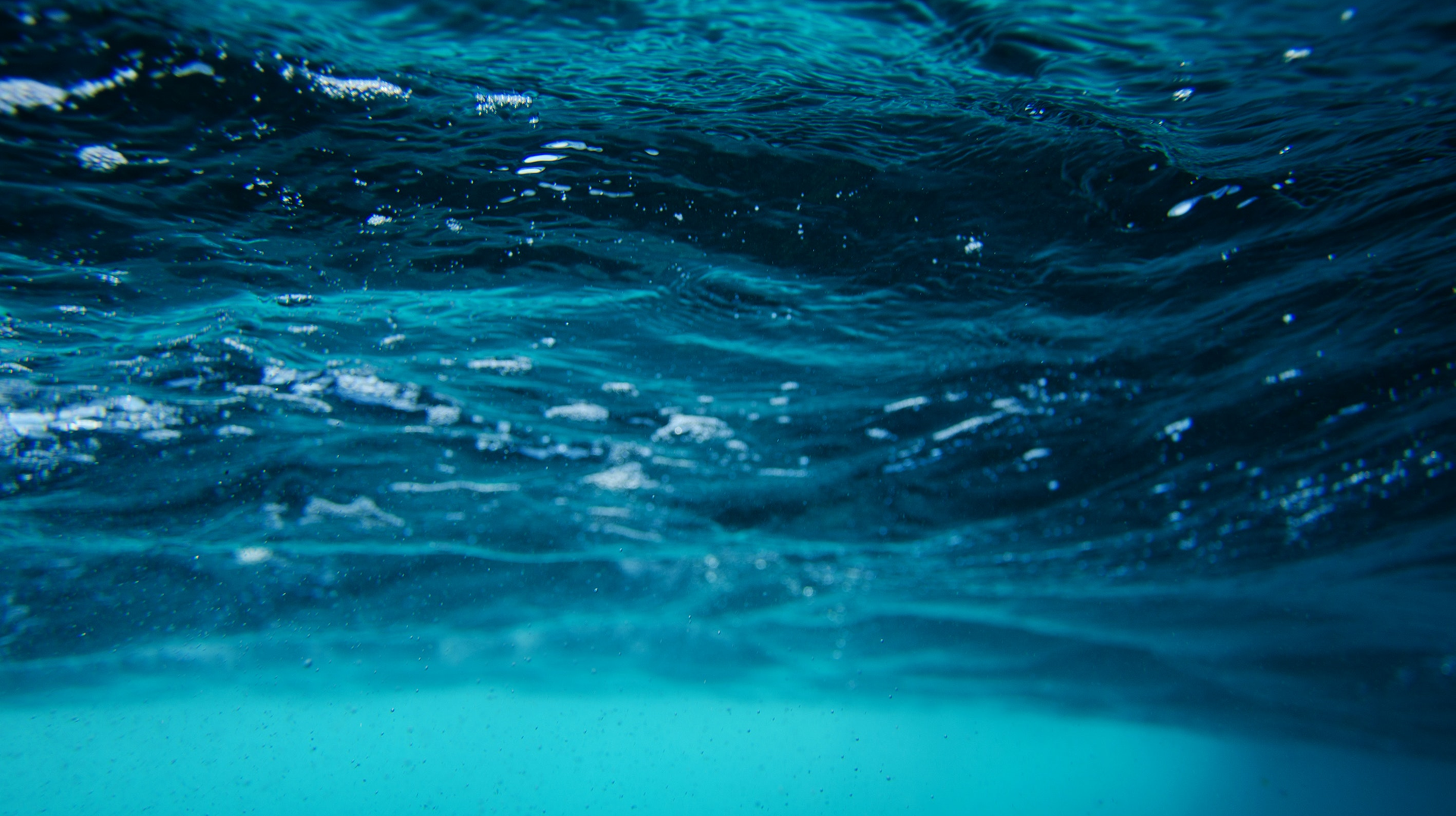 Pexels Emiliano Arano 1350197 605a3c80b5662