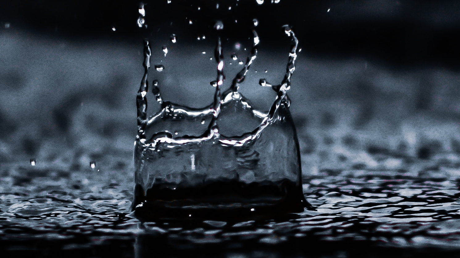 Pexels Sourav Mishra 1100946 1 6052535cce08a