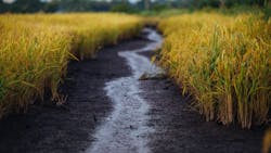 Pexels Thanh Nguy N 1438516 6054d20944862 Pexels Thanh Nguy N 1438516 6054d20944862