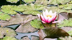 Sensus Ga Smart Water 605e1765379de Sensus Ga Smart Water 605e1765379de