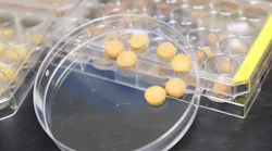 To make the sponge, the research team first transformed tough pollen grains into a soft gel-like material, before freeze-drying the material. These processes resulted in the formation of pollen sponges with 3D porous architectures.