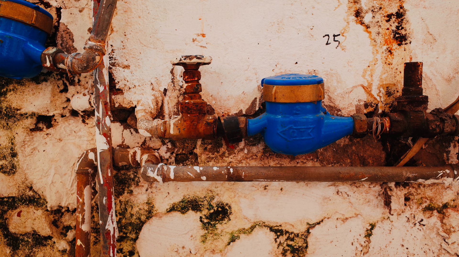 Photo by Bluepikachu on Unsplash.