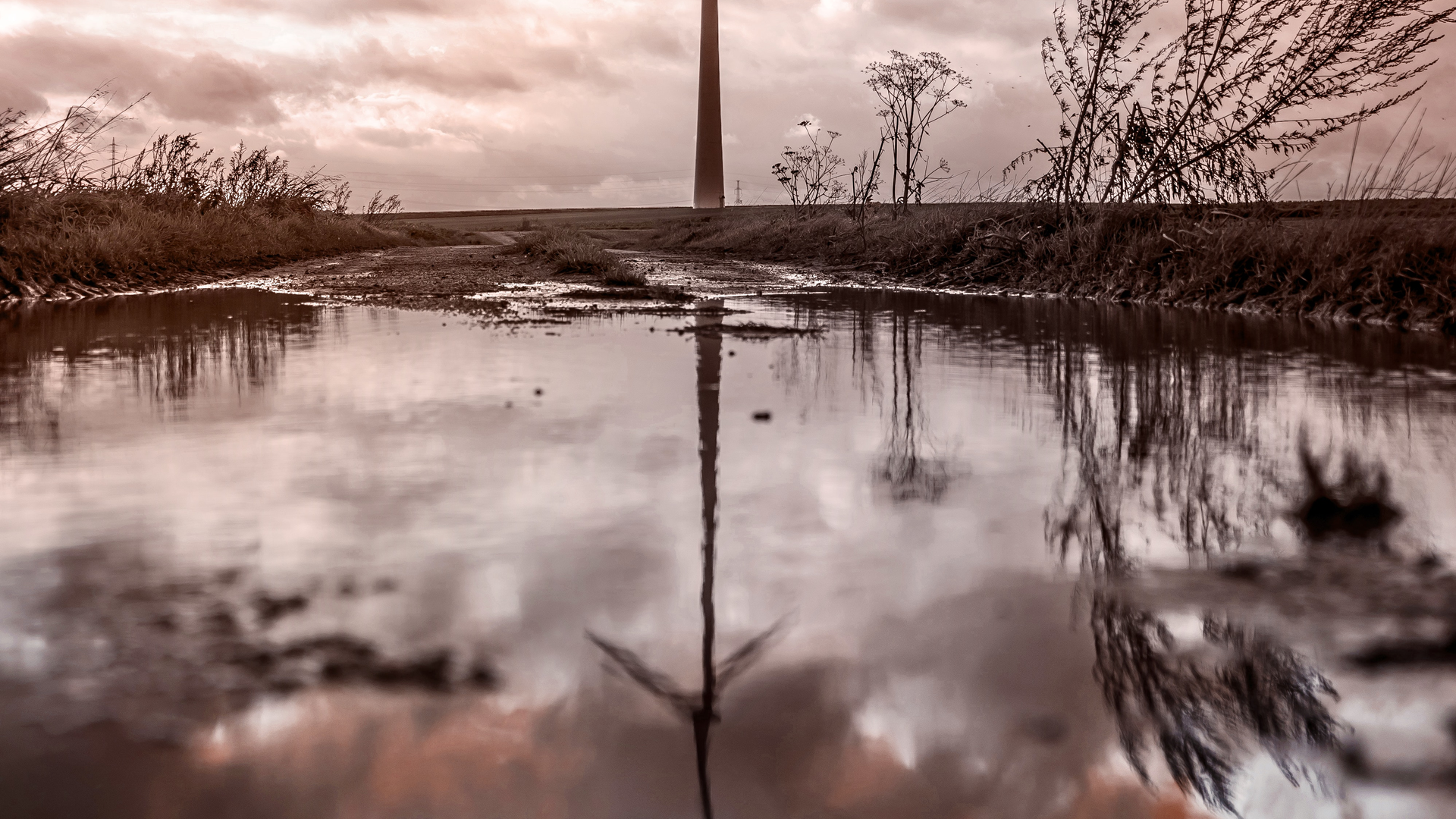 Photo by Guillaume Meurice from Pexels