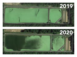Satellite images show the deployment of TRN aerators significantly curtailed algae and weed growth due to nitrification of the ammonia present in the lagoons. Satellite images show the deployment of TRN aerators significantly curtailed algae and weed growth due to nitrification of the ammonia present in the lagoons.
