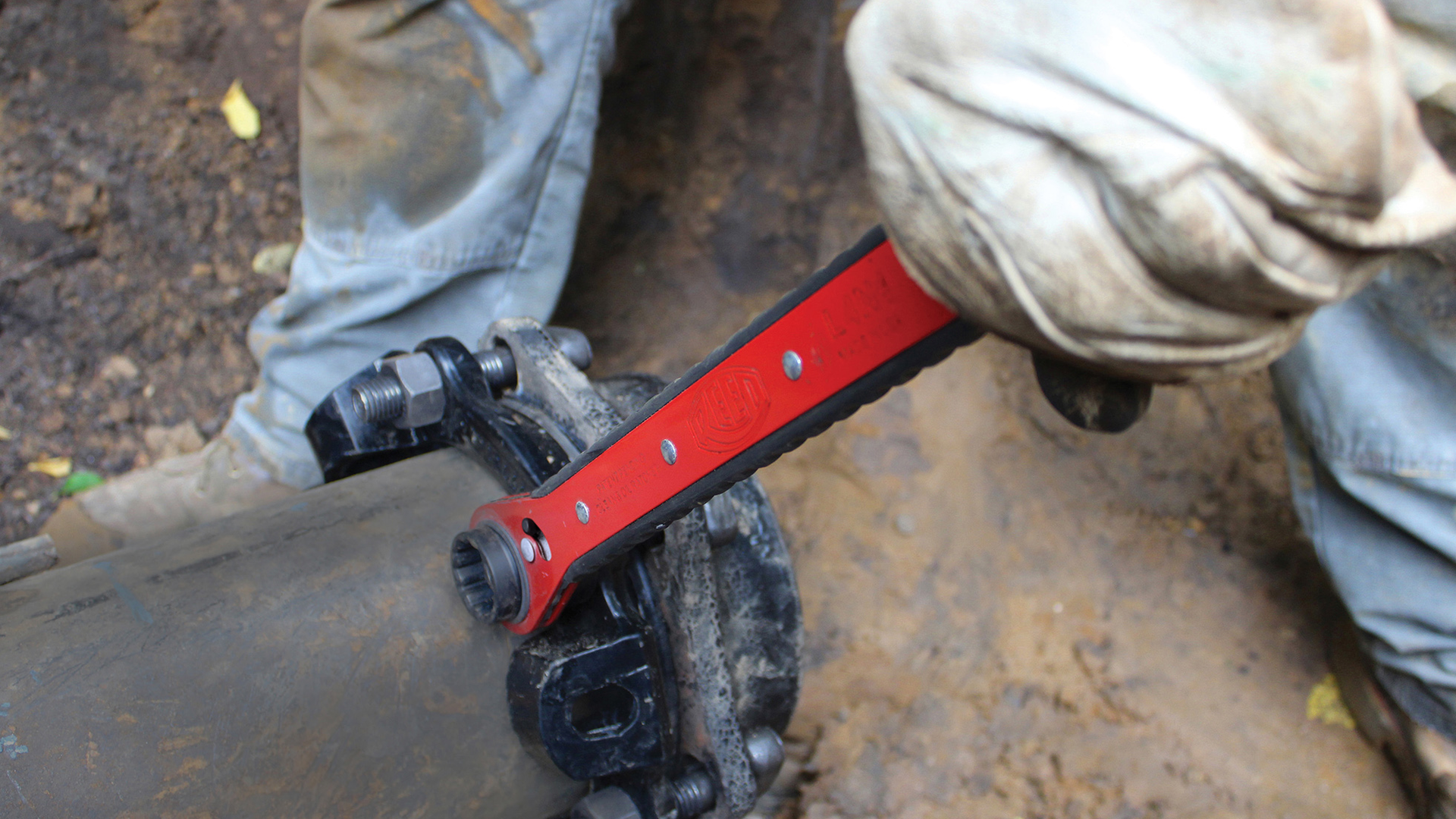 02692 L4 N1 Xp In Use 5x7 Rgb