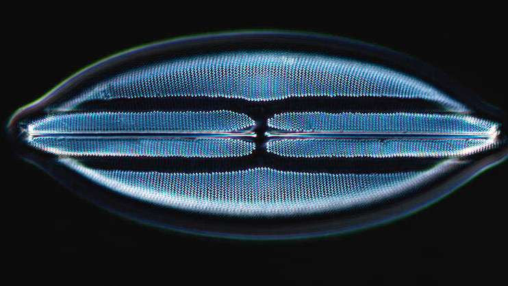 Biomimicry Institute announces the 10 startup companies participating in this year&rsquo;s $100,000 Ray of Hope Prize&circledR; program.