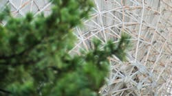 Asoggetti F Ps Ejn Nb Pd8 Unsplash 609587fc78a0f Asoggetti F Ps Ejn Nb Pd8 Unsplash 609587fc78a0f