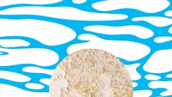 Bacteria in a microscopic image. Bacteria in a microscopic image.