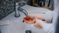 Hedgehog Digital X Bh Lb Y4 G8s Unsplash 6092c3b14294d Hedgehog Digital X Bh Lb Y4 G8s Unsplash 6092c3b14294d