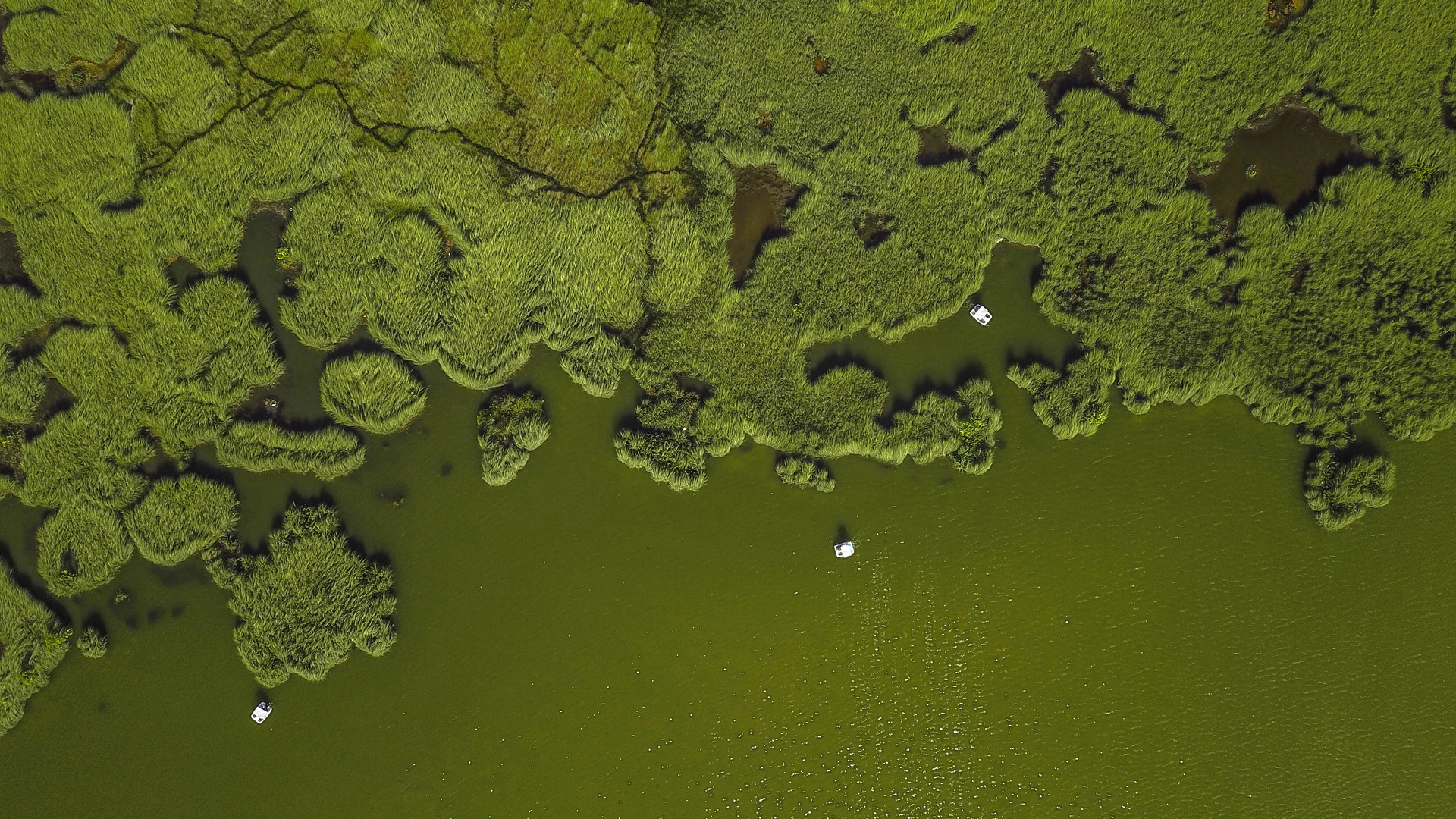 Photo by Ibrahim Mohamed on Unsplash