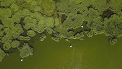 Photo by Ibrahim Mohamed on Unsplash Photo by Ibrahim Mohamed on Unsplash