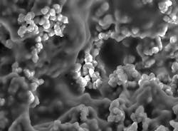Porous structure of gel matrix. Porous structure of gel matrix.