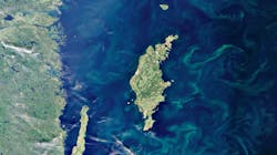 Applying Circular Wate 60ba691af4101 Applying Circular Wate 60ba691af4101