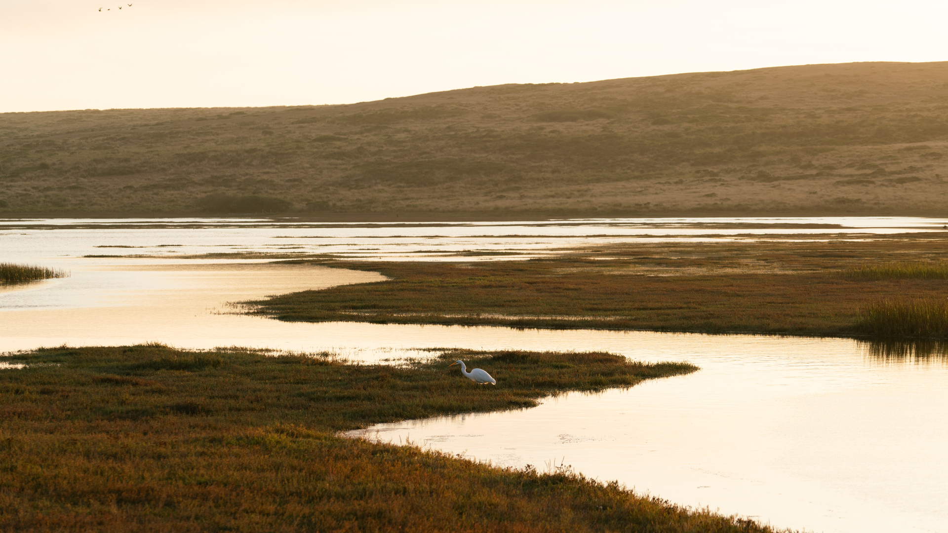 Mason Field J Iffw Ta Ub I Unsplash 60c7ca9d541d1