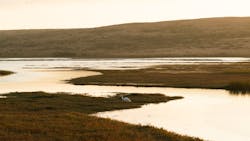 Mason Field J Iffw Ta Ub I Unsplash 60c7ca9d541d1 Mason Field J Iffw Ta Ub I Unsplash 60c7ca9d541d1