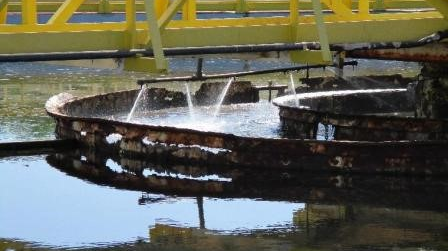 Picture1 60ec7f3d89815