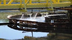 Picture1 60ec7f3d89815 Picture1 60ec7f3d89815