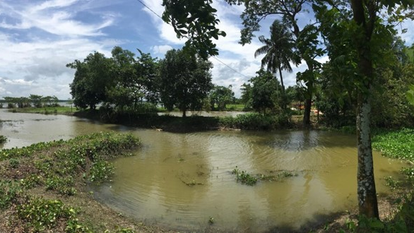 The aquatic ecosystem in Bangladesh has been susceptible to persistent cholera.