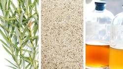 Willows are naturally tolerant of contamination and their roots filter out nitrogen from wastewater, tripling the biomass produced, which can then be harvested to make renewable biofuels. Willows are naturally tolerant of contamination and their roots filter out nitrogen from wastewater, tripling the biomass produced, which can then be harvested to make renewable biofuels.