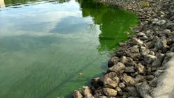 Lake Harsha Cyanohab June 2017 Ord Cincinnati 2