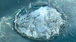 Pexels Jill Burrow 6858665 60f083849b78e Pexels Jill Burrow 6858665 60f083849b78e