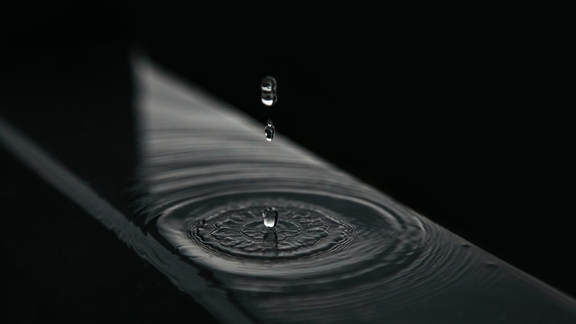 Ryan Kwok Bx R1 Mj8ca60 Unsplash 60f6df0184edd