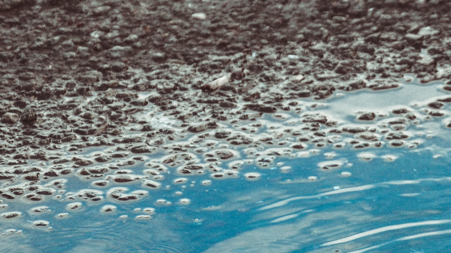 Valeria Strogoteanu Td Kr Nw9b Gvu Unsplash 60ec9c38f074d