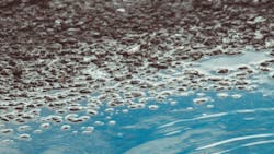 Valeria Strogoteanu Td Kr Nw9b Gvu Unsplash 60ec9c38f074d Valeria Strogoteanu Td Kr Nw9b Gvu Unsplash 60ec9c38f074d