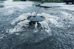 Spotlight Imagery 2019 96dpi 1280x854px E Nr 45348 Spotlight Imagery 2019 96dpi 1280x854px E Nr 45348