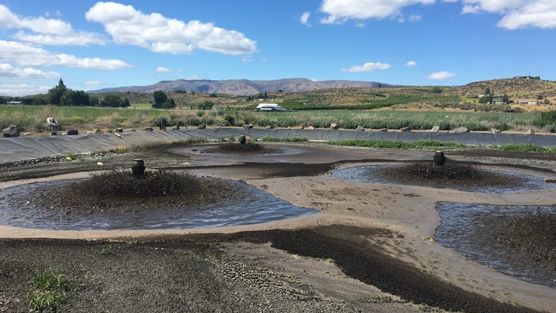 Cowiche Regional Wastewater Treatment Plant is one of five facilities in Yakima County being recognized for outstanding performance in 2020.