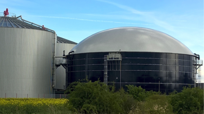 Picture1 61098d122bc9d