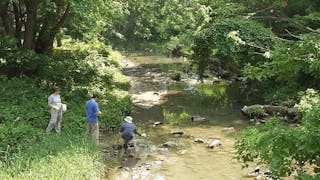 Water samples are collected from the Gywnns Falls stream in Baltimore, Maryland.